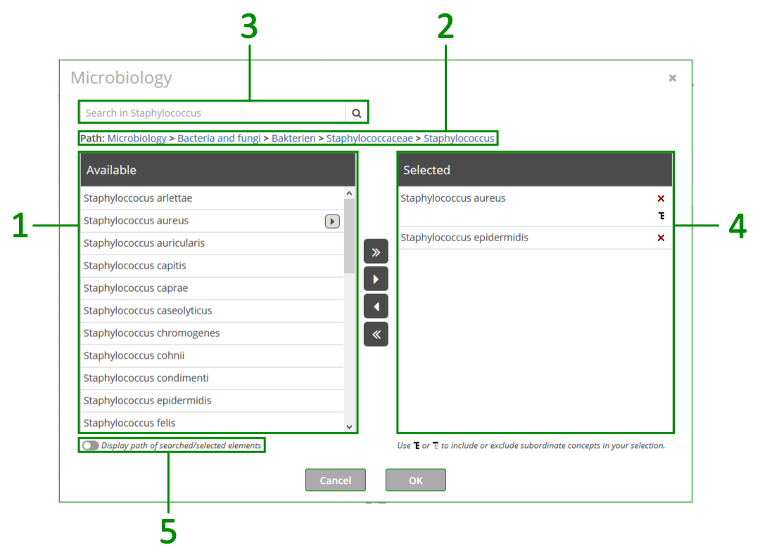 query-parameter-thesaurus-selection